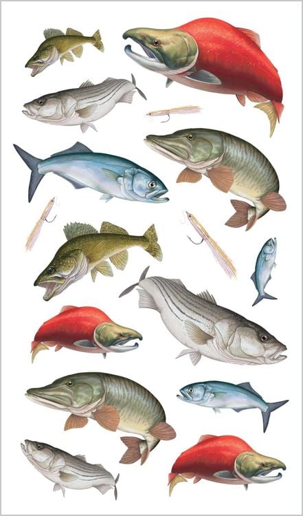 Produktbild: The Perfect Catch of Tattoo Fish