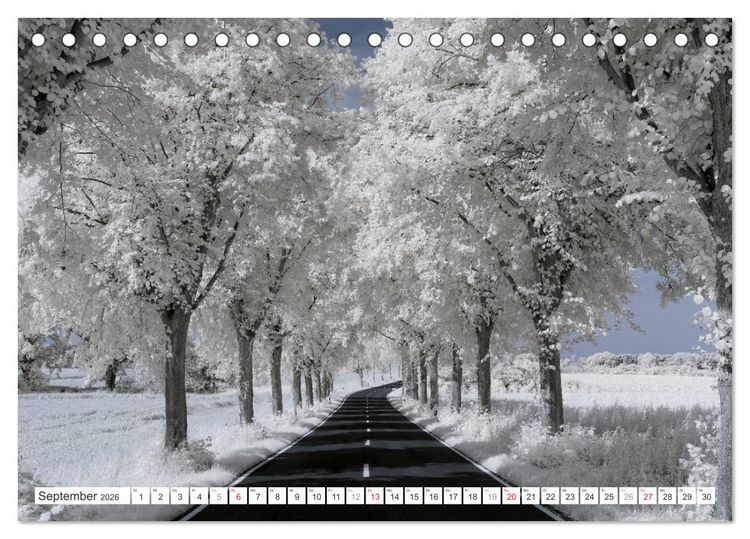 Produktbild: Zauberhafte Infrarot-Fotografie (Tischkalender 2026 DIN A5 quer), CALVENDO Monatskalender