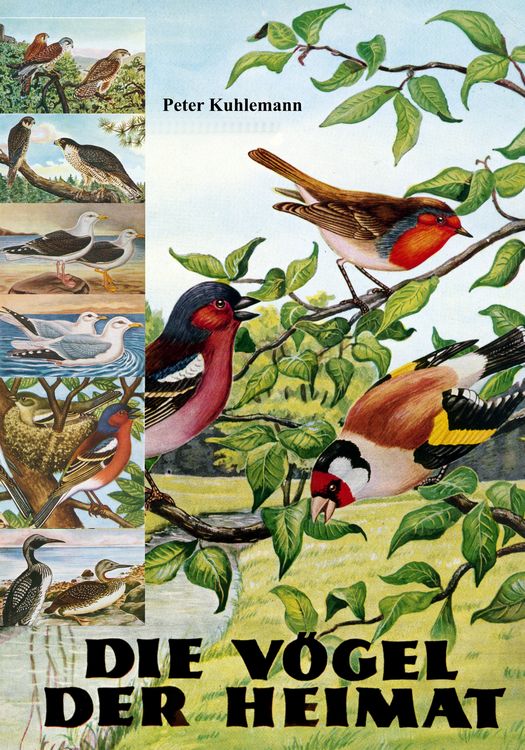 Produktbild: Die V&ouml;gel der Heimat