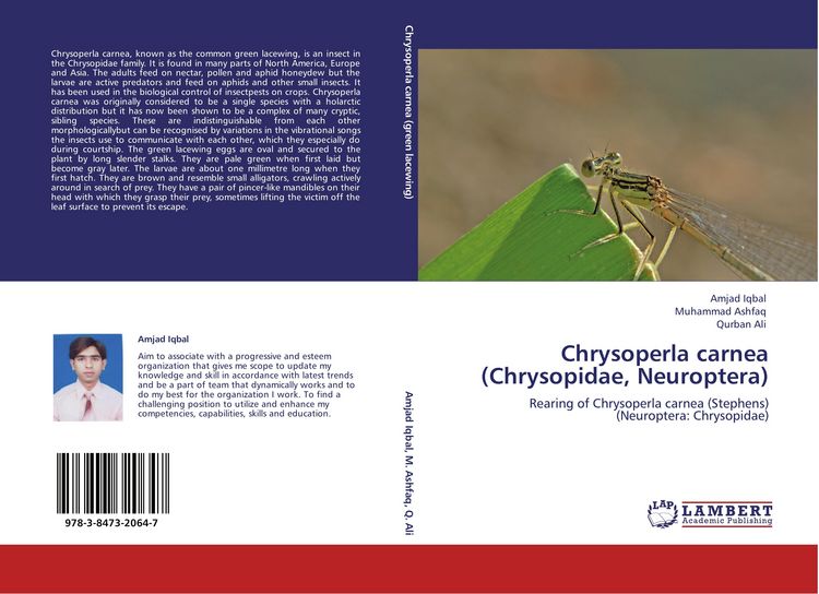 Produktbild: Chrysoperla carnea (Chrysopidae, Neuroptera)