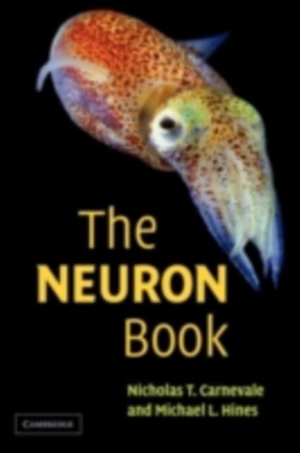 Produktbild: Neuron Book