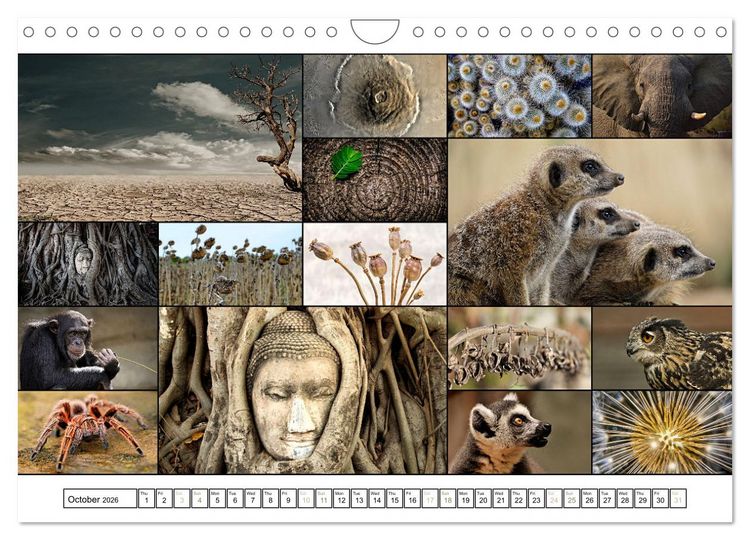 Produktbild: Colour Symphonies of the Earth (Wall Calendar 2026 DIN A4 landscape), CALVENDO 12 Month Wall Calendar