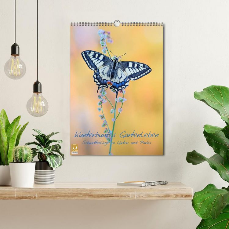 Produktbild: Kunterbuntes Gartenleben - Schmetterlinge in G&auml;rten und Parks (Wandkalender 2026 DIN A3 hoch), CALVENDO Monatskalender