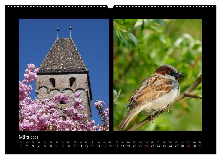 Produktbild: Ulmer Spatzen (hochwertiger Premium Wandkalender 2026 DIN A2 quer), Kunstdruck in Hochglanz