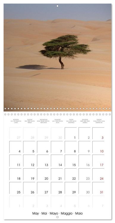 Produktbild: Desert - unknown exciting (Wall Calendar 2026 12 &times; 12 Inch) CALVENDO 12 Month Wall Calendar