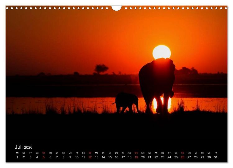 Produktbild: Elefanten - Die sanften Riesen Afrikas (Wandkalender 2026 DIN A3 quer), CALVENDO Monatskalender