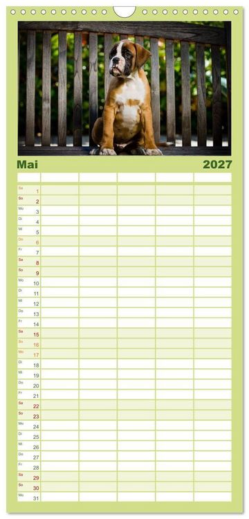 Produktbild: Familienplaner 2027 - Wenn ich gro&szlig; bin werd' ich Boxer mit 5 Spalten (Wandkalender, 21 x 45 cm) CALVENDO