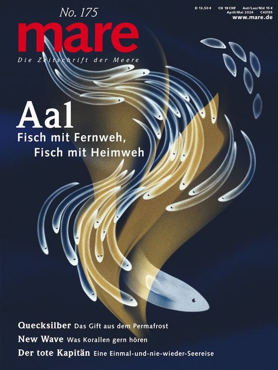 Produktbild: Mare - Die Zeitschrift der Meere / No. 175