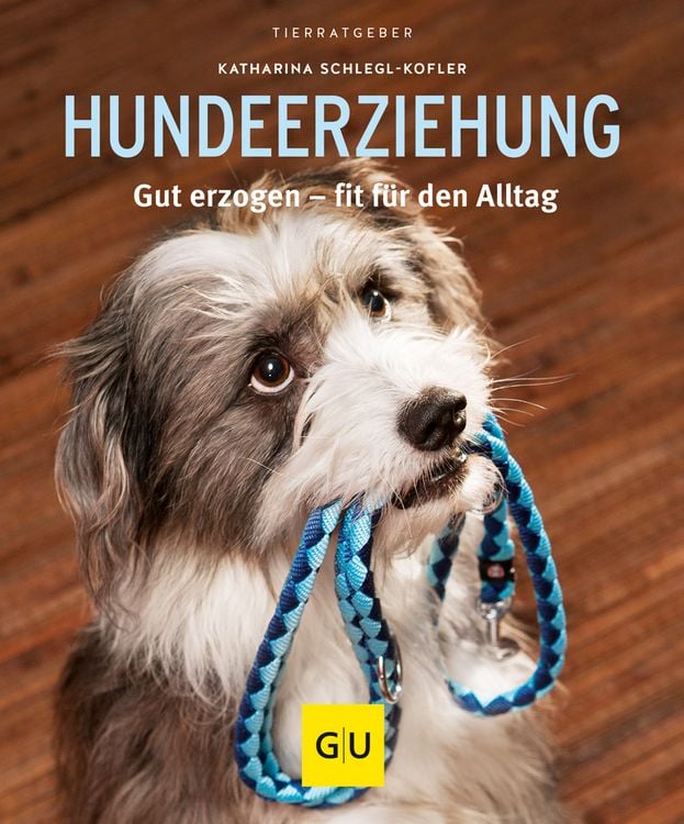 Produktbild: Hundeerziehung