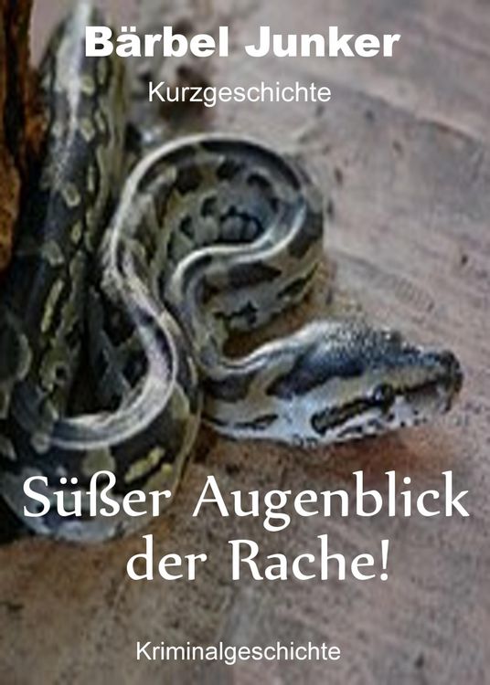 Produktbild: S&uuml;&szlig;er Augenblick der Rache!