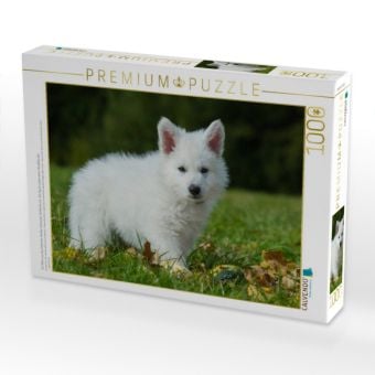 Produktbild: CALVENDO Puzzle Ein Motiv aus dem Kalender Wei&szlig;er Schweizer Sch&auml;ferhund - Ein Tag im Leben einer Hundefamilie | 1000 Teile Lege-Gr&ouml;&szlig;e 64x48cm Foto-Puzzle f&uuml;r gl&uuml;ckliche Stunden