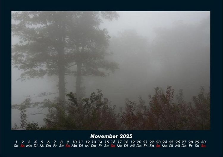 Produktbild: Waldzauber 2025 Fotokalender DIN A4
