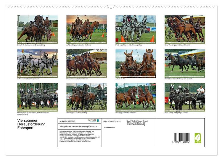 Produktbild: Viersp&auml;nner Herausforderung Fahrsport (hochwertiger Premium Wandkalender 2026 DIN A2 quer), Kunstdruck in Hochglanz