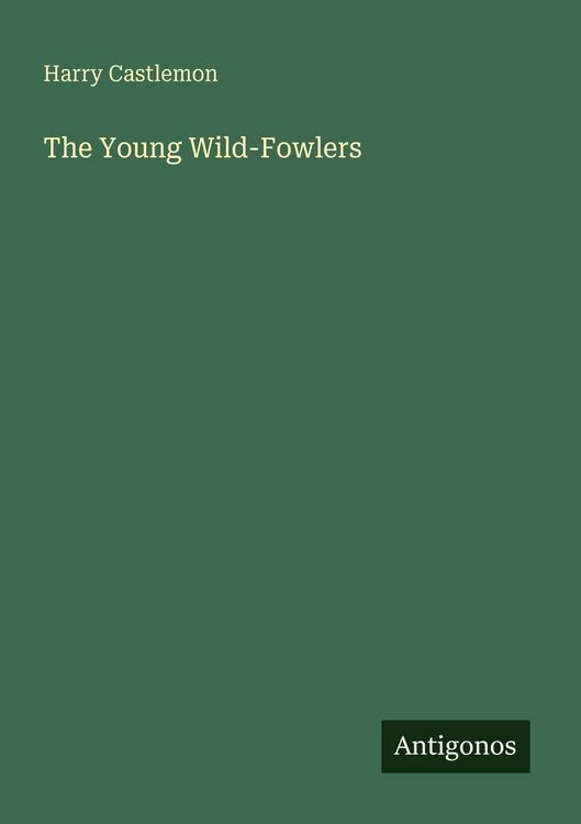 Produktbild: The Young Wild-Fowlers