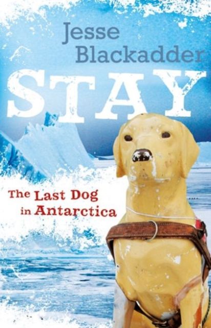 Produktbild: Stay