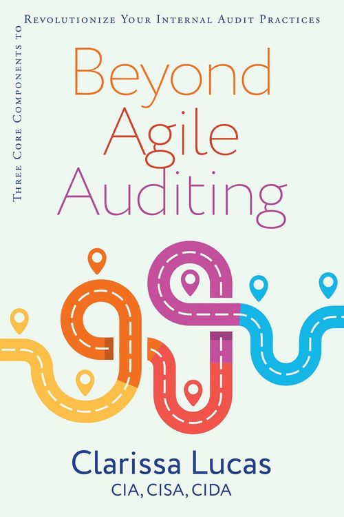 Produktbild: Beyond Agile Auditing