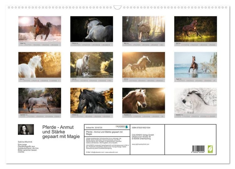 Produktbild: Pferde - Anmut und St&auml;rke gepaart mit Magie (Wandkalender 2026 DIN A2 quer), CALVENDO Monatskalender