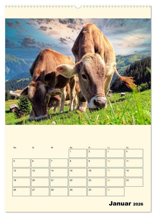 Produktbild: Gl&uuml;ckliche Bergk&uuml;he (hochwertiger Premium Wandkalender 2026 DIN A2 hoch), Kunstdruck in Hochglanz