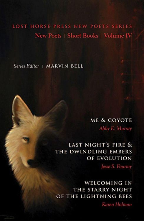 Produktbild: New Poets, Short Books, Volume IV