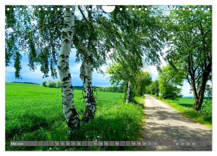 Produktbild: Wege finden immer ein Ziel (Wandkalender 2026 DIN A4 quer), CALVENDO Monatskalender