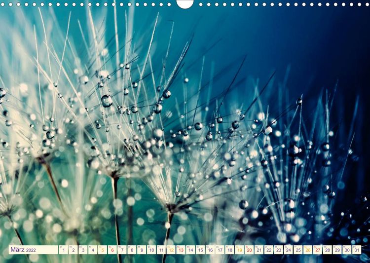 Produktbild: B&uuml;hne frei f&uuml;r die bunte Tr&ouml;pfchenwelt (Wandkalender 2022 DIN A3 quer)