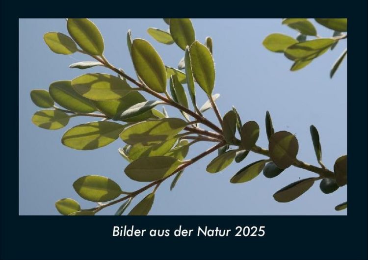 Produktbild: Bilder aus der Natur 2025 Fotokalender DIN A4