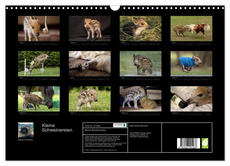 Produktbild: Kleine Schweinereien (Wandkalender 2026 DIN A3 quer), CALVENDO Monatskalender