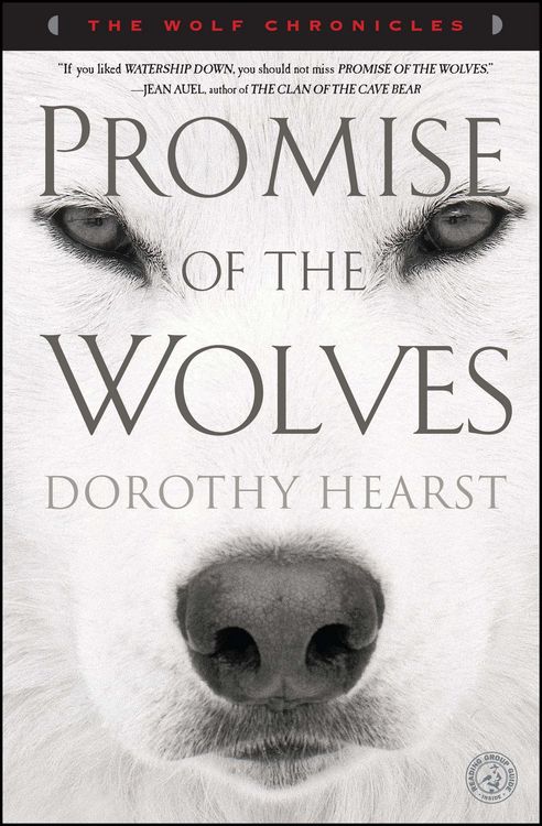 Produktbild: Promise of the Wolves