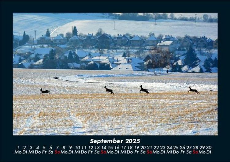 Produktbild: Blick in die Natur 2025 Fotokalender DIN A5