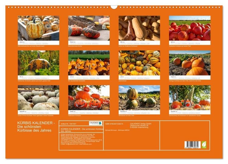 Produktbild: K&Uuml;RBIS KALENDER - Die sch&ouml;nsten K&uuml;rbisse des Jahres (Wandkalender 2026 DIN A2 quer), CALVENDO Monatskalender
