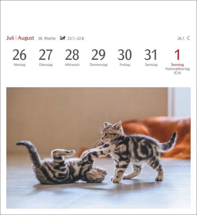 Produktbild: Katzen Postkartenkalender 2027 - Wochenkalender mit 53 Postkarten