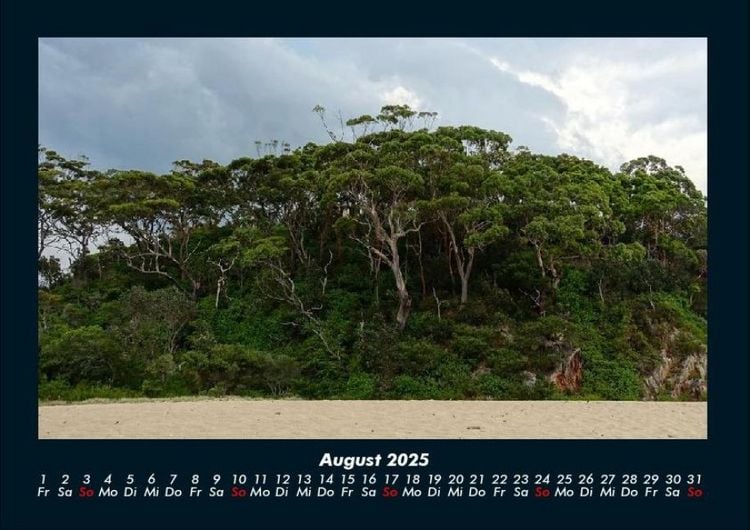 Produktbild: B&auml;ume 2025 Fotokalender DIN A4