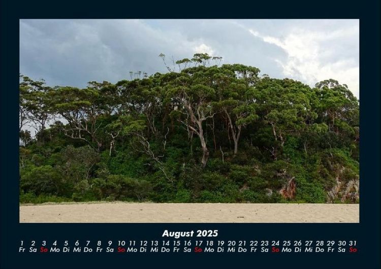 Produktbild: B&auml;ume 2025 Fotokalender DIN A4