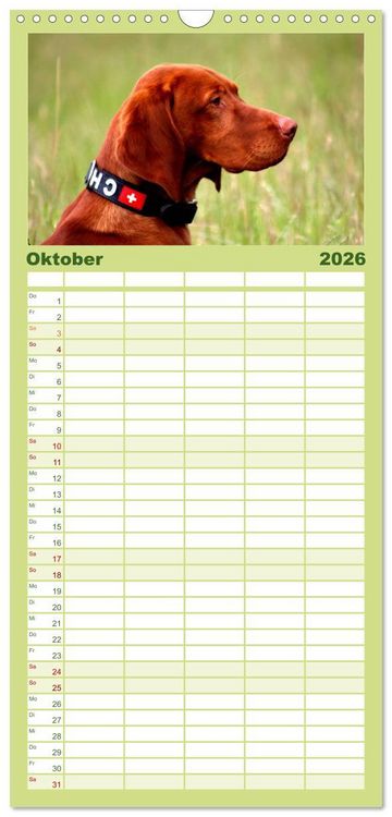 Produktbild: Familienplaner 2026 - Magyar Vizsla mit 5 Spalten (Wandkalender, 21 x 45 cm) CALVENDO