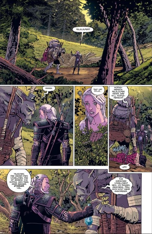 Produktbild: The Witcher