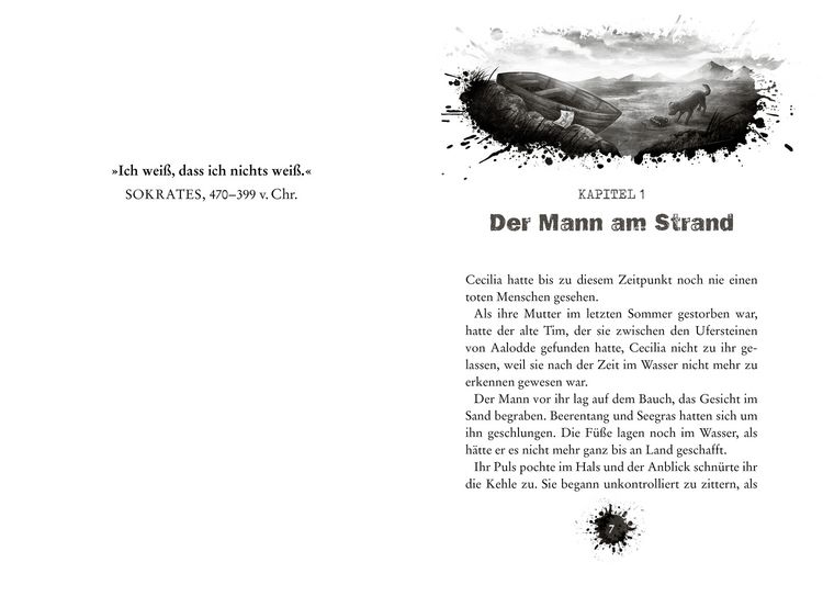 Produktbild: CLUE 1. Schiffbruch vor der Felseninsel