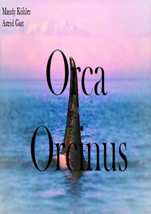 Produktbild: Orca Orcinus