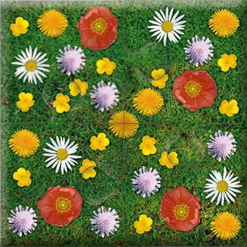 Produktbild: Das "Gelingt-immer"-Puzzle Wiesenblumen. Das Puzzle-Spiel f&uuml;r Senioren mit Demenz