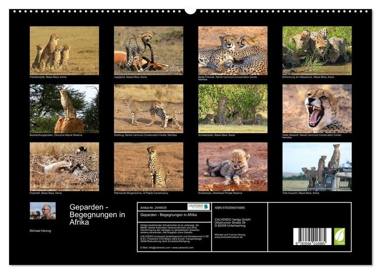 Produktbild: Geparden - Begegnungen in Afrika (hochwertiger Premium Wandkalender 2027 DIN A2 quer), Kunstdruck in Hochglanz