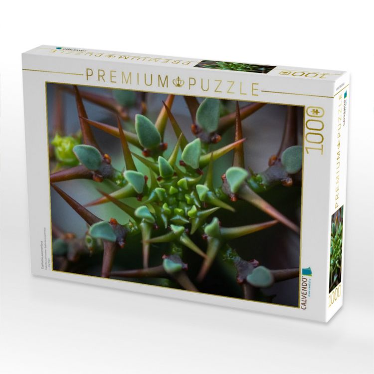 Produktbild: CALVENDO Puzzle Euphorbia avasmontana | 1000 Teile Lege-Gr&ouml;&szlig;e 64x48cm Foto-Puzzle f&uuml;r gl&uuml;ckliche Stunden