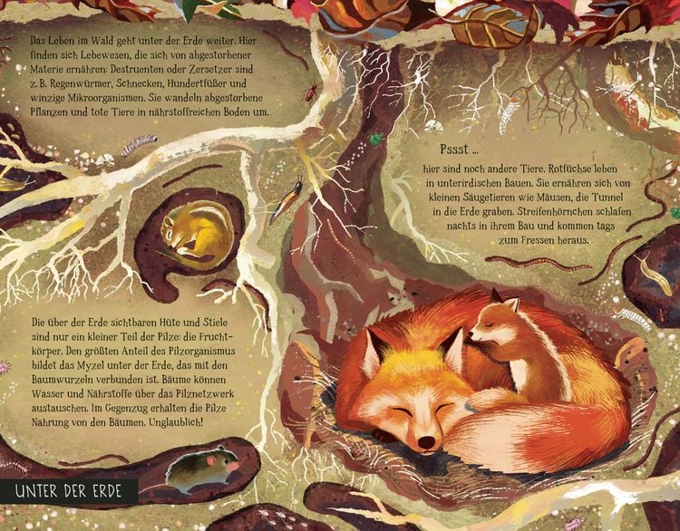 Produktbild: Von der Wurzel bis zum Wipfel