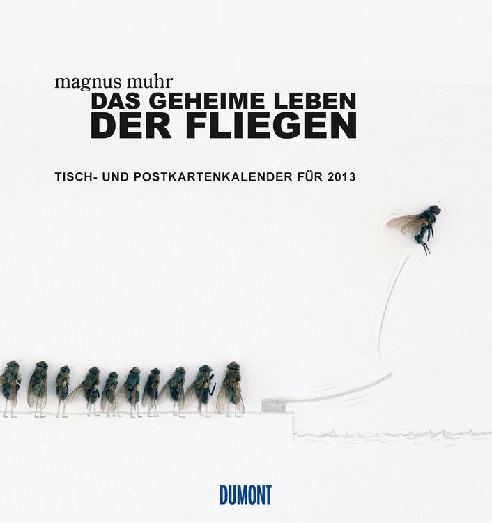 Produktbild: Das geheime Leben der Fliegen - Tisch- und  Postkartenkalender 2013