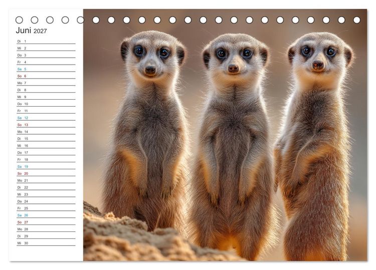 Produktbild: Die Welt der Erdm&auml;nnchen (Tischkalender 2027 DIN A5 quer), CALVENDO Monatskalender