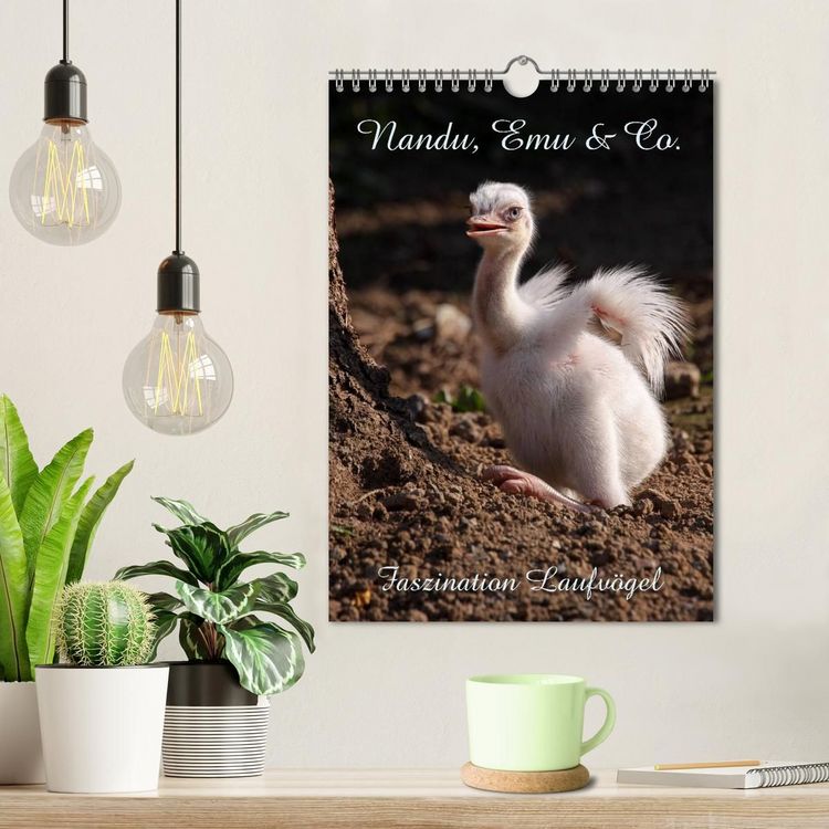 Produktbild: Nandu, Emu & Co. (Wandkalender 2027 DIN A4 hoch), CALVENDO Monatskalender