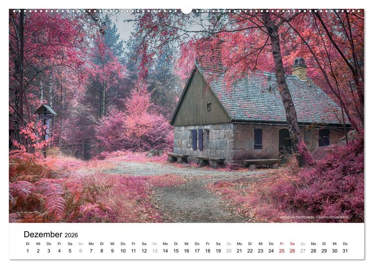 Produktbild: Die Lausitz durch den Infrarotfilter (hochwertiger Premium Wandkalender 2026 DIN A2 quer), Kunstdruck in Hochglanz