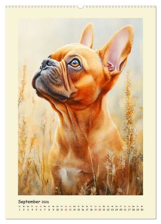 Produktbild: Charmante Bulldoggen. Franz&ouml;sische Lebensfreude auf vier Pfoten (Wandkalender 2026 DIN A2 hoch), CALVENDO Monatskalender
