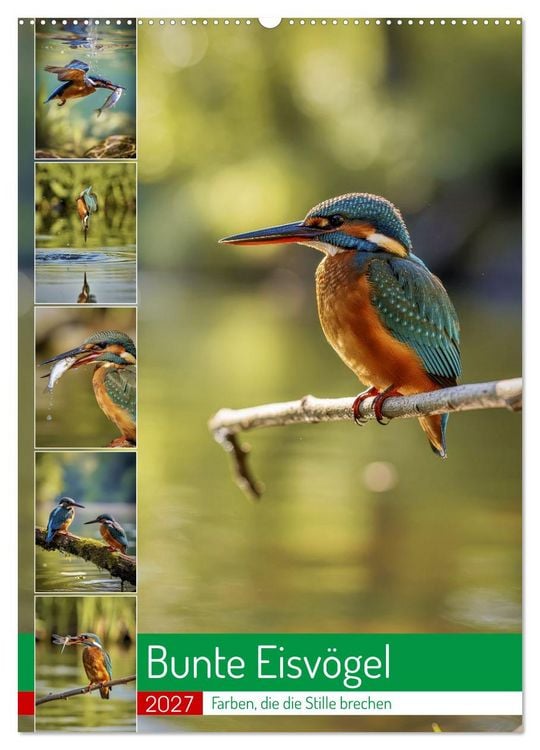 Produktbild: Bunte Eisv&ouml;gel (Wandkalender 2027 DIN A2 hoch), CALVENDO Monatskalender