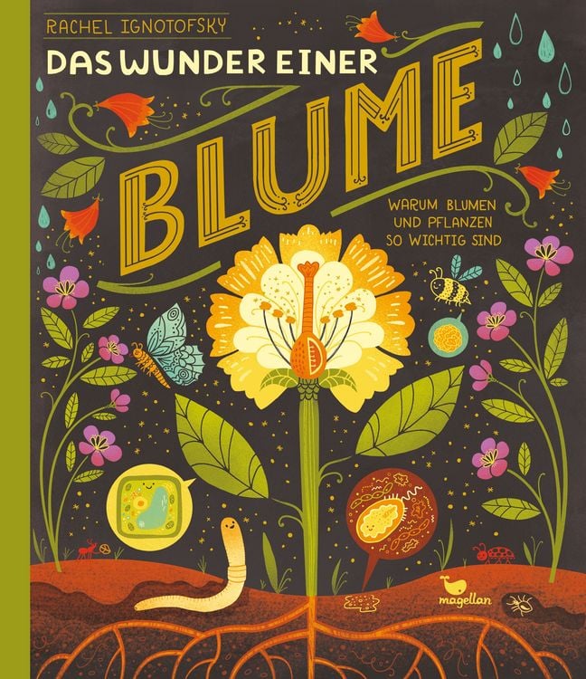 Produktbild: Das Wunder einer Blume - Warum Blumen und Pflanzen so wichtig sind