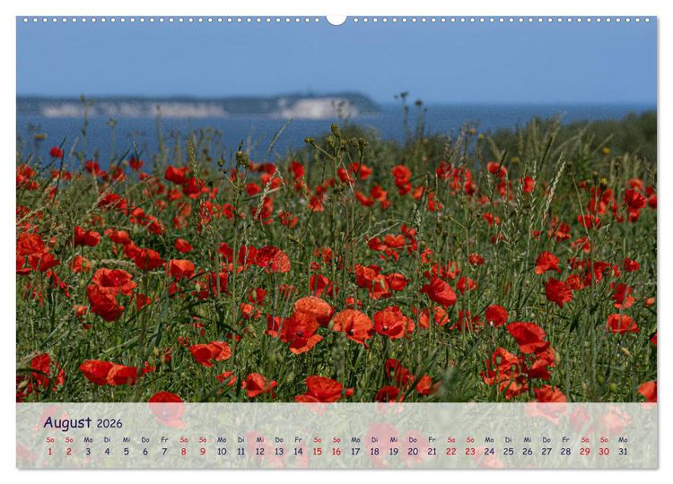 Produktbild: R&uuml;genliebe (Wandkalender 2026 DIN A2 quer), CALVENDO Monatskalender