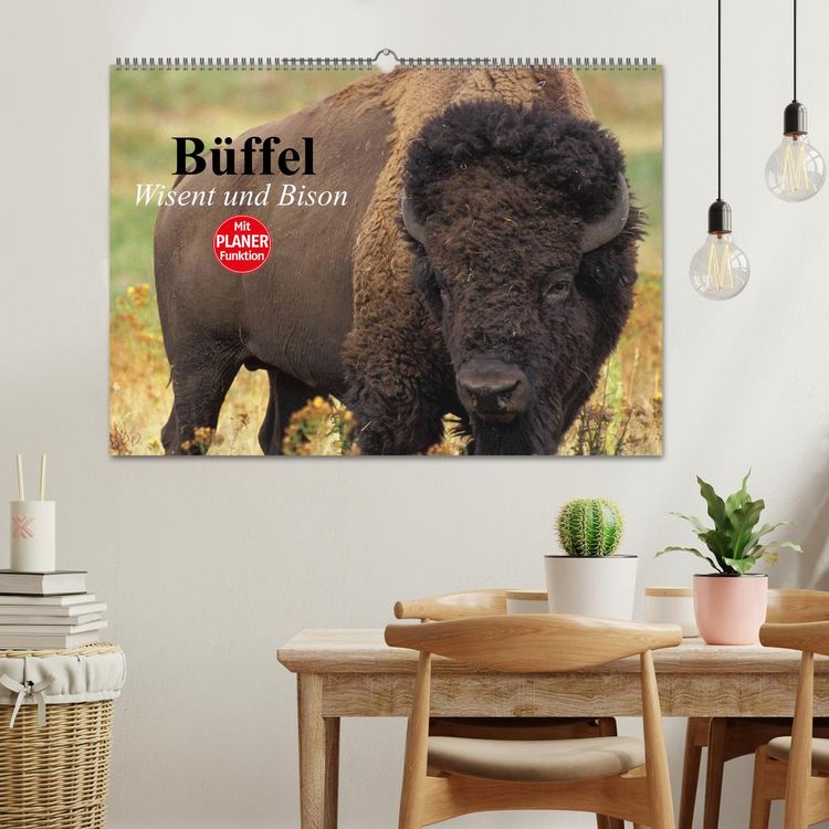 Produktbild: B&uuml;ffel. Wisent und Bison (Wandkalender 2026 DIN A2 quer), CALVENDO Monatskalender